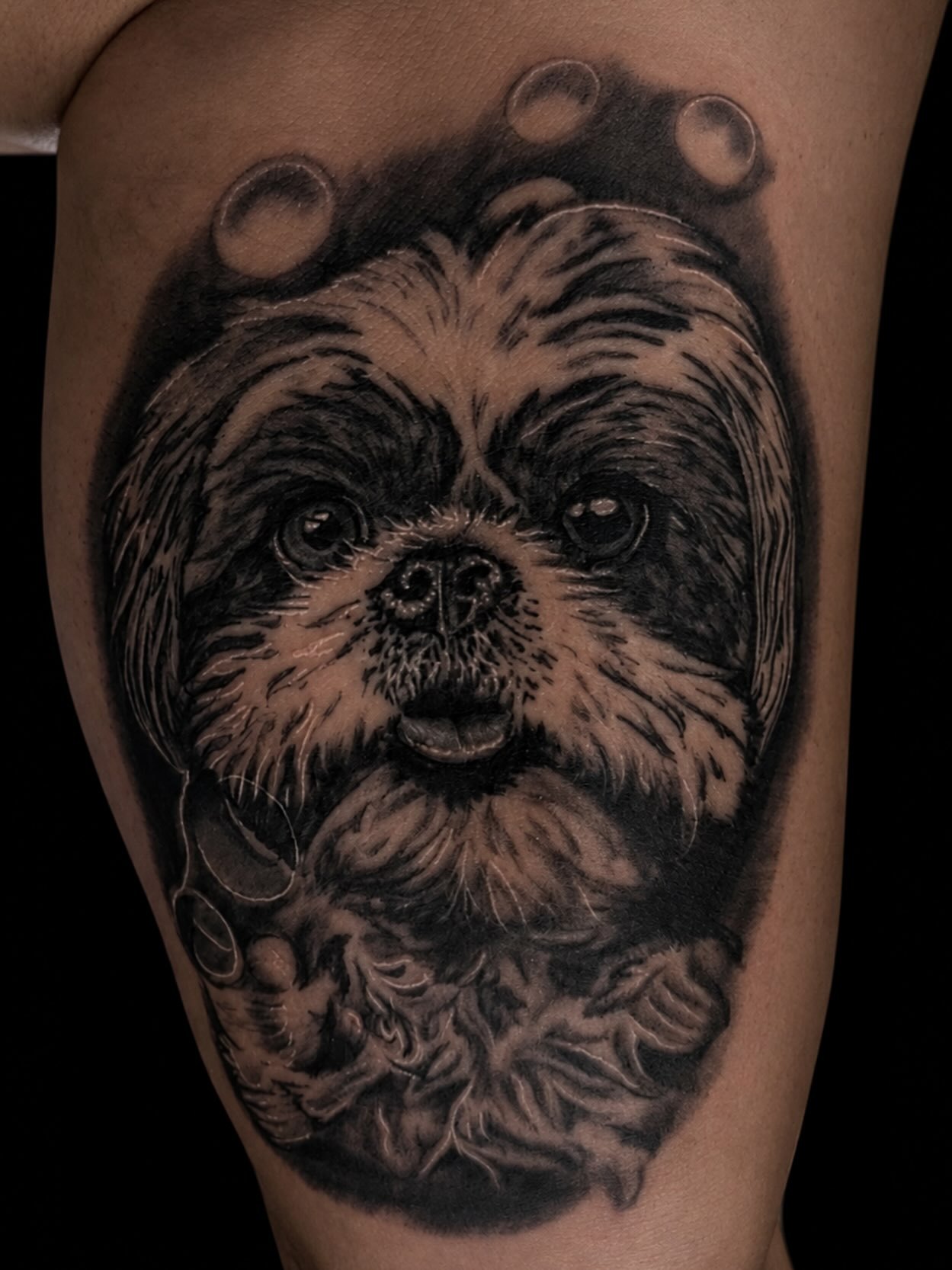 Black and grey realism tattoo of a Shih Tzu surrounded by soap bubbles, a pet portrait on the upper arm